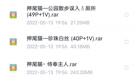 网络红人押尾猫